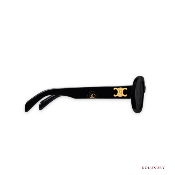 TRIOMPHE 01 SUNGLASSES IN ACETATE - Hình ảnh 2