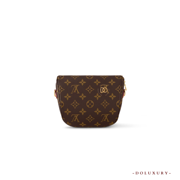 L.V MINI BUMBAG - Hình ảnh 3